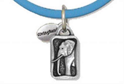 Charity Bands, Alzheimers Awareness
