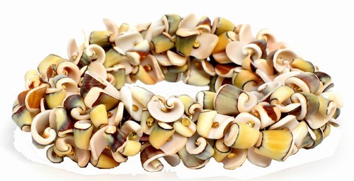 Shell Bracelet, Multi-Shell