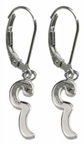 From This Moment On Wave Earrings