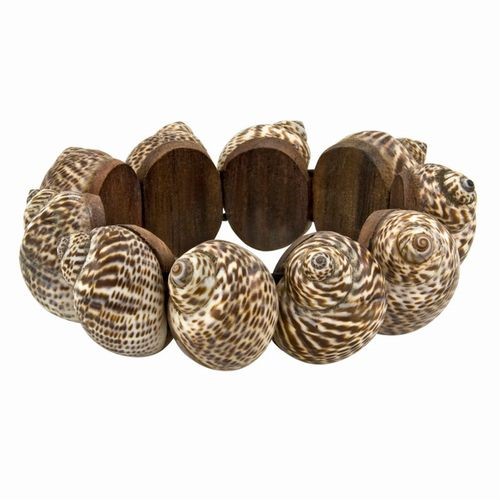 Stretchy Shell Bracelet