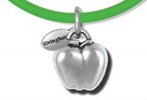 Charity Bands, Education Awareness