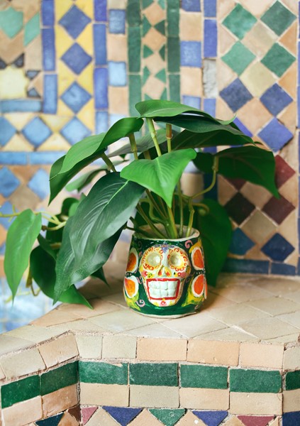 Sugar Skull Succulent Pots ACM006 View 2