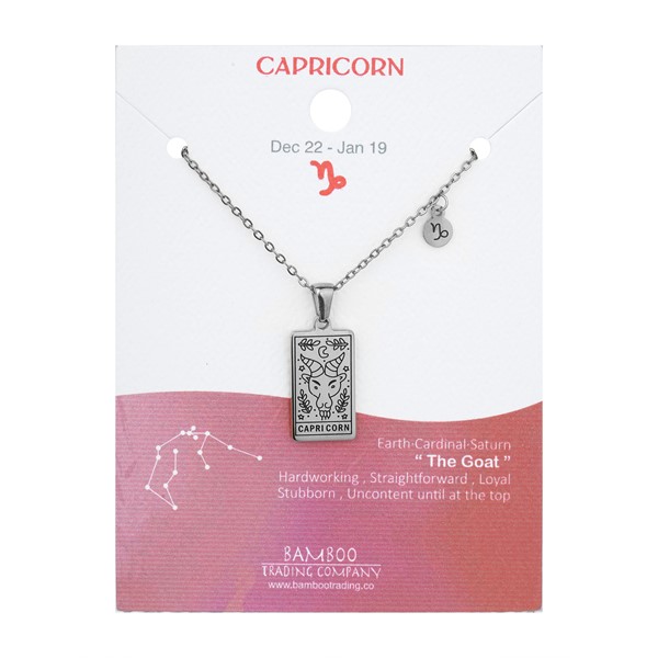 Zodiac Necklace Silver Capricorn