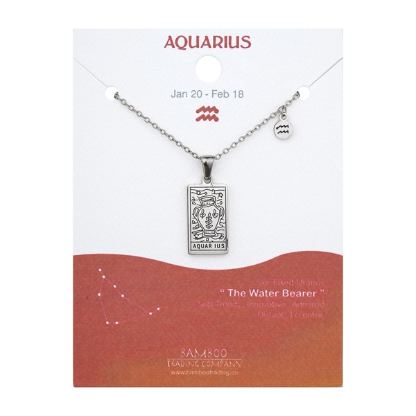Zodiac Necklace Silver Aquarius